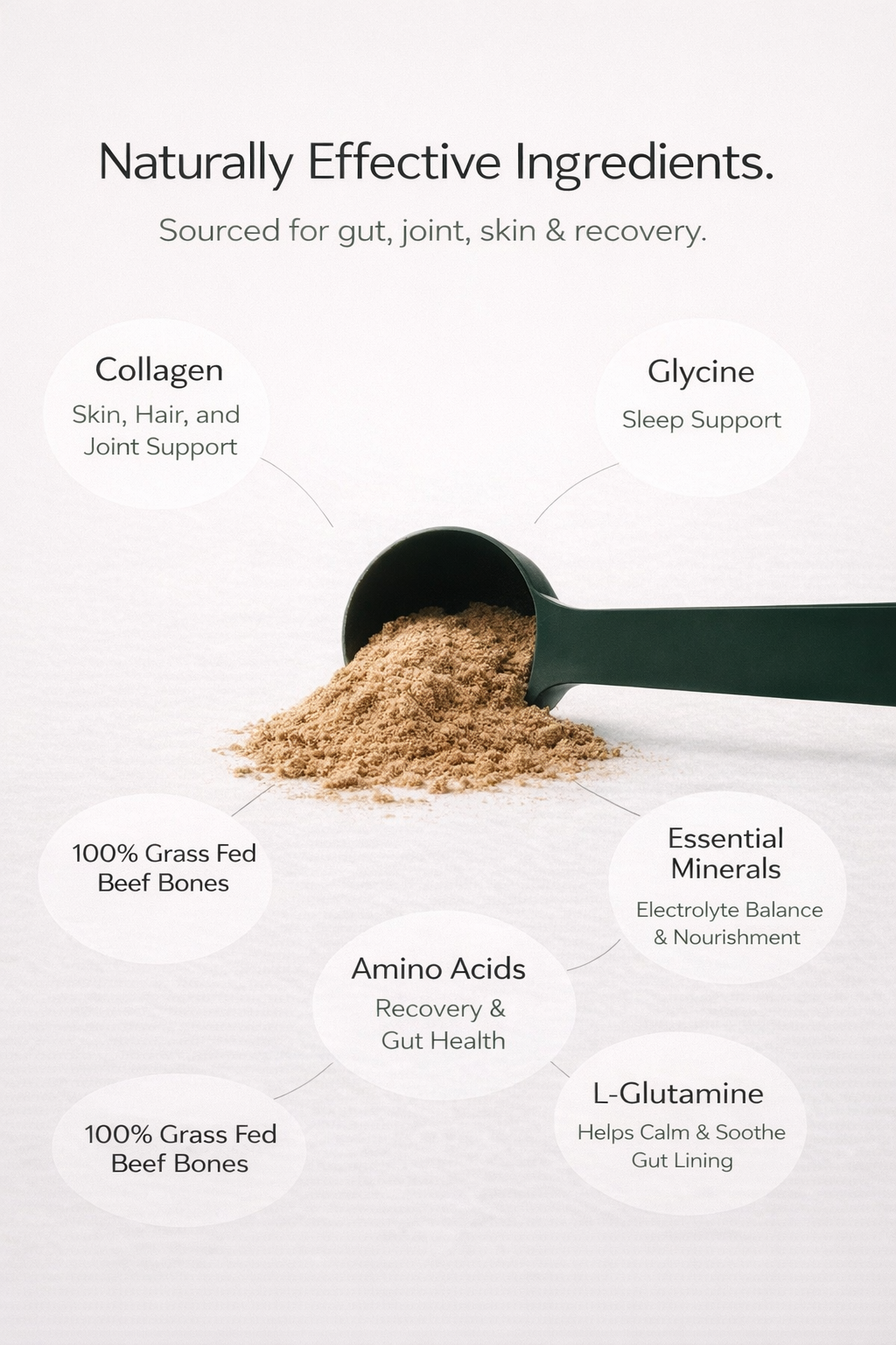 Torvik Bone Broth Protein